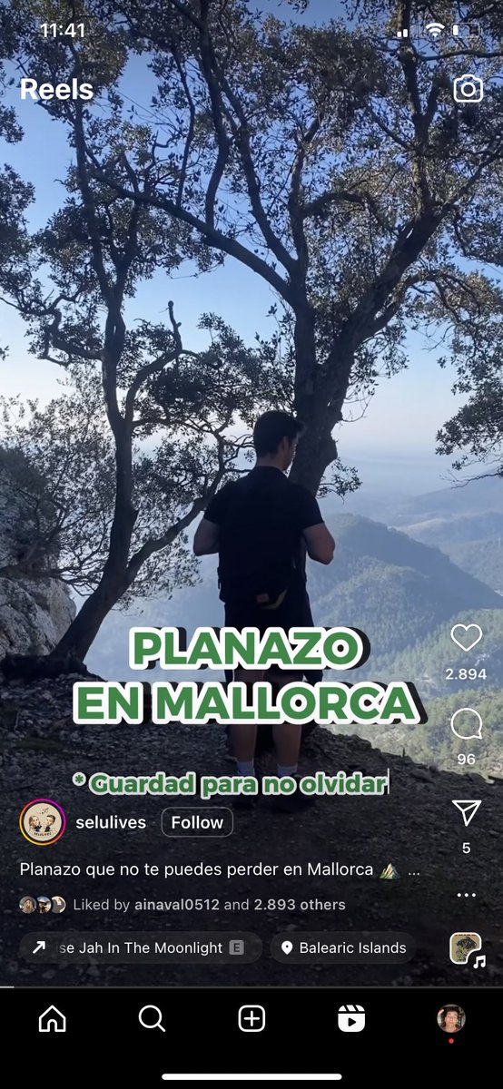no diré lo que li faria a n'aquesta gent, amem si saturam un poc més mallorca, no?
si voleu anar d'excursió obriu un mapa i feis un poc de recerca, i ja que hi sou denunciau aquests videos😇