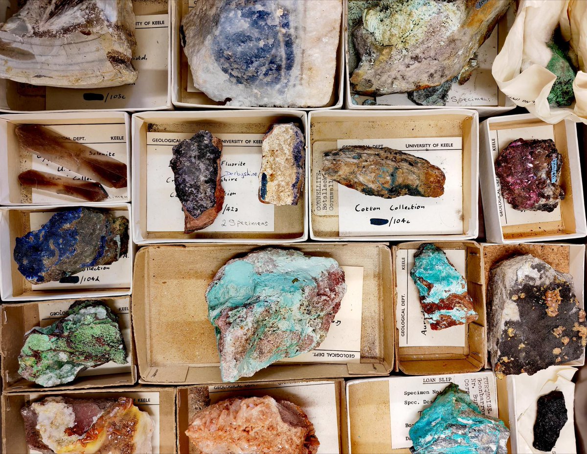 Luke Hobson tweet media