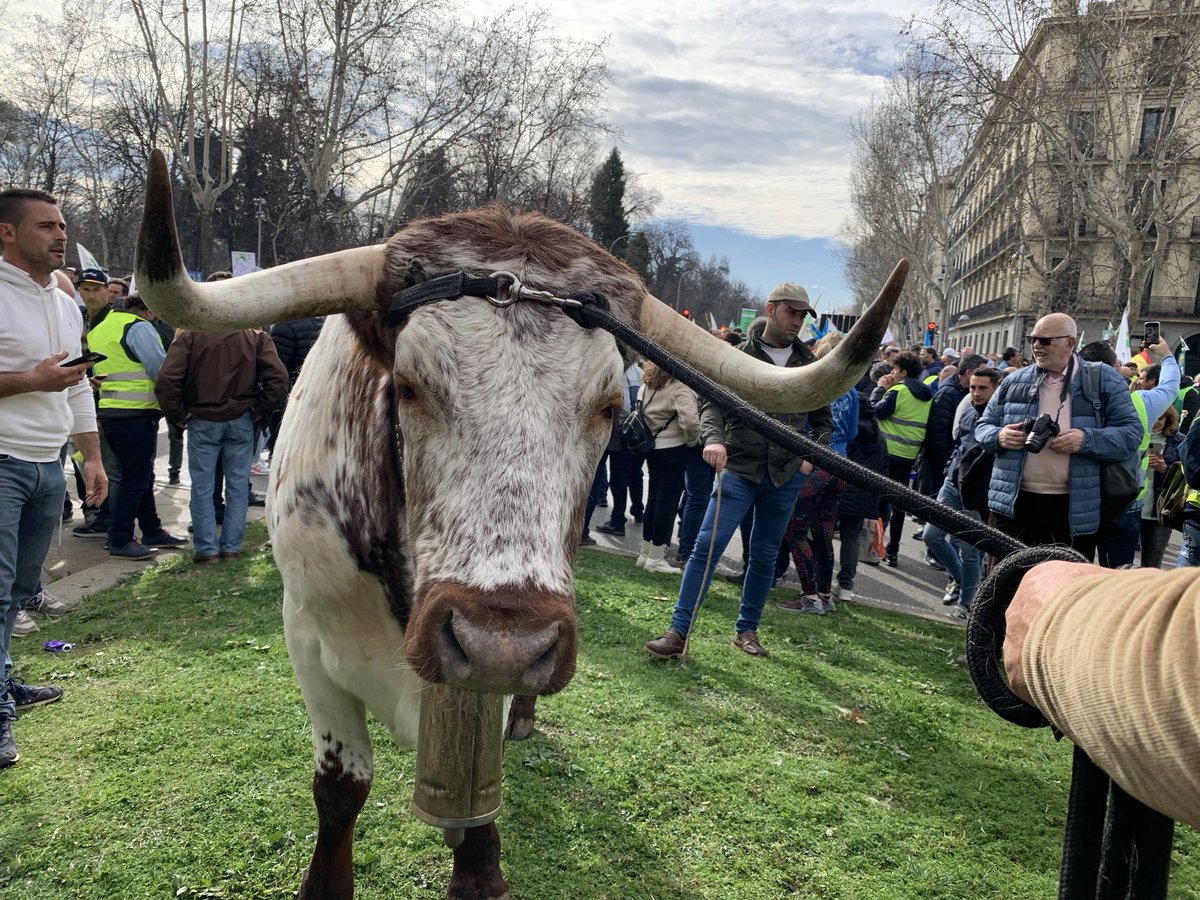 The view from Puerta de Alcalá, central Madrid, right now. #tractorada