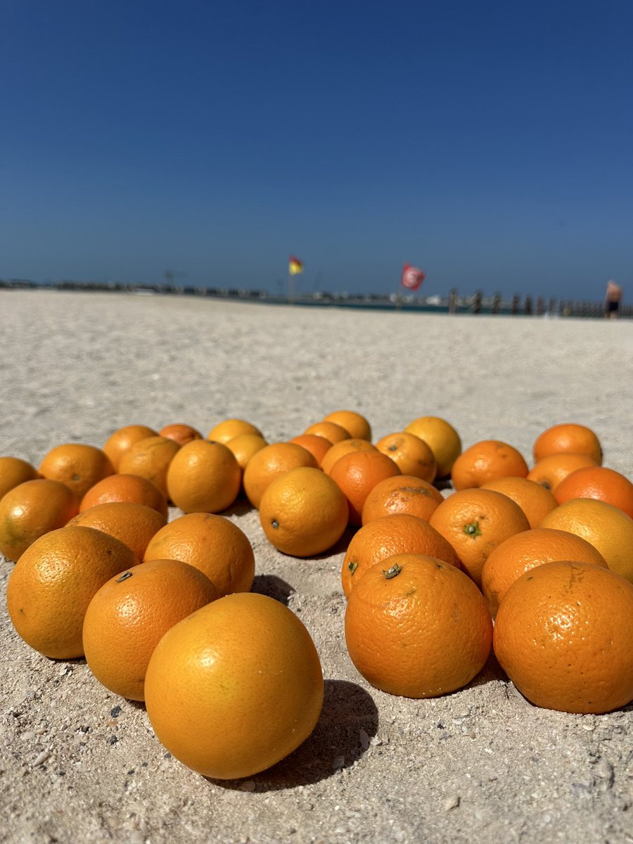 DC Geography tweet media