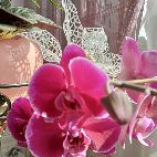 Michelle332 tweet media