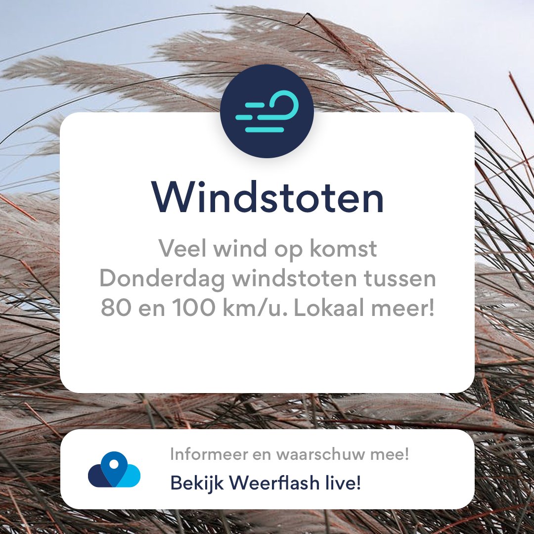 weerflash's tweet photo. Regen en wind tijdens de #winter! Iets waar de komende dagen geen verandering in komt. Op #donderdag nadert een stevig #windveld met ook kans op #onweer in de namiddag. Jullie #waarnemingen zijn uiteraard zeer belangrijk in onze #weerapp. 📌 https://t.co/DE5szfsMQ8