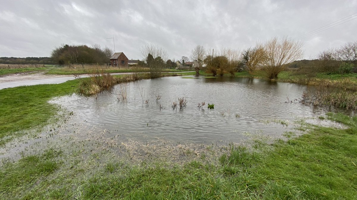 More rain hits #Morston #pond #Norfolk #northnorfolk #northnorfolkcoast #northnorfolklife @morstonanchor @MorstonHall @morstontales @Morstonman @nthnorfolknews @ponds4climate @uclponds @norfolkponds @NorfolkCoastNT @themarshtit @AjayTegala