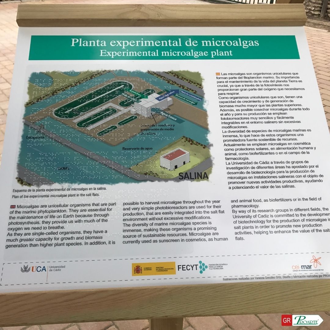 ¿Sabías que el senderismo puede ser una actividad accesible para todos? 🌳🚶

Únete a nosotros y descubre los atriles en braille.
¡Por una naturaleza sin barreras! 💚👏

Encuentra toda la información 👉 señalizacionderutas.com

#accesibilidad #inclusion #senderismo #naturaleza