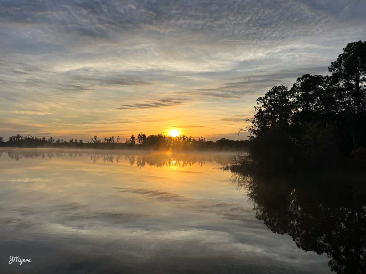 “Morning is an important time of day, because how you spend your morning can often tell you what kind of day you are going to have.” — Lemony Snicket