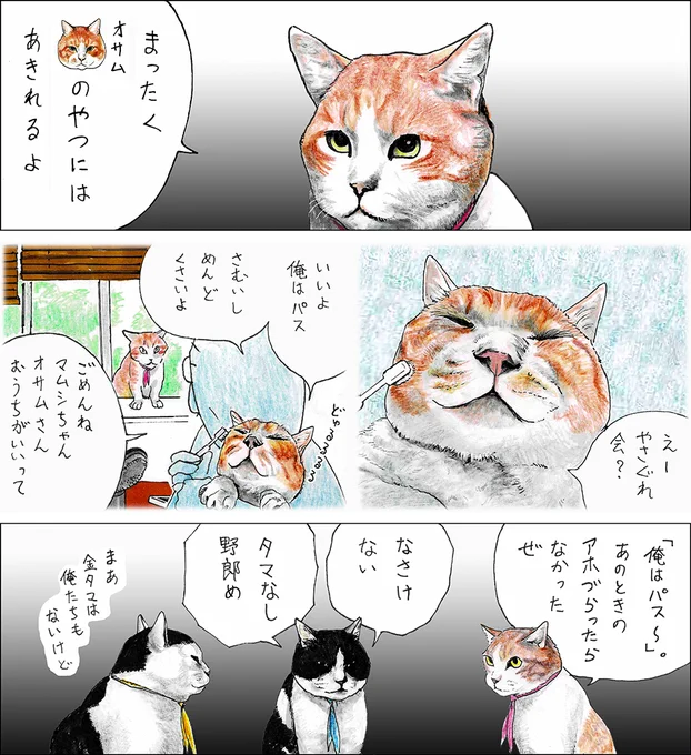 や、どうも。
きょうはこの春はつばいの、『俺、つしま』だい4かんのかきおろしのいち部をお見せしますよ。
いまいっしょけんめいかいてるから、たのしみにしててね! 