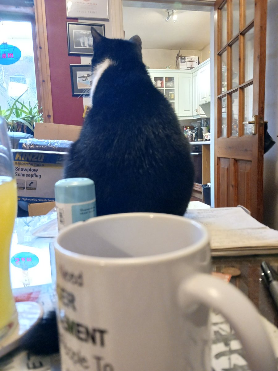 SkullPrint3's tweet photo. #findmycatchallenge🏆
Level: bit tricky https://t.co/ekPR8P7Eat