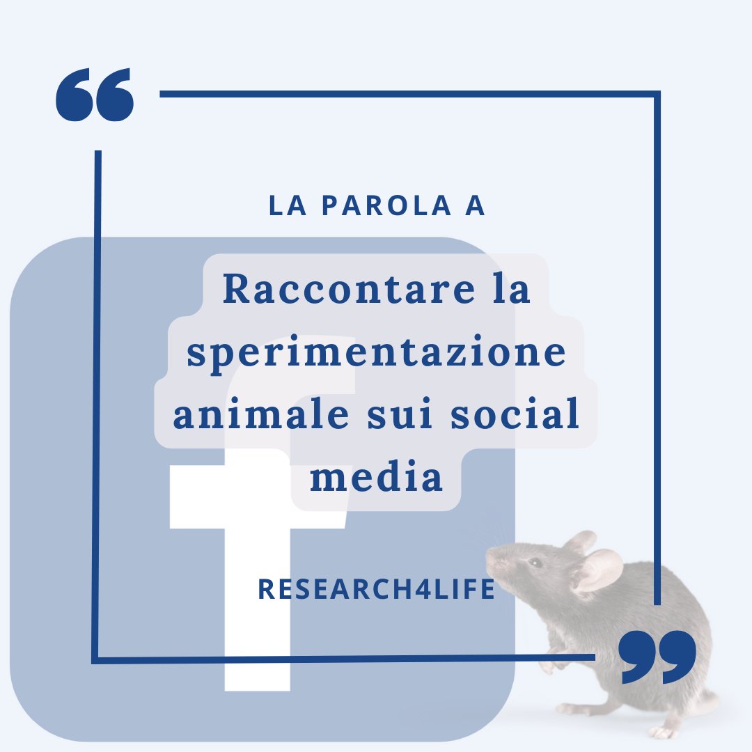 research4lifeIT's tweet photo. Siamo convinti dell’importanza di una comunicazione chiara e trasparente sulla sperimentazione animale. Per questo abbiamo parlato con chi sta portando avanti un interessante progetto di comunicazione sul tema che passa interamente sui social media
🔗https://t.co/snLRil5eCi https://t.co/0XZ5I9suDi