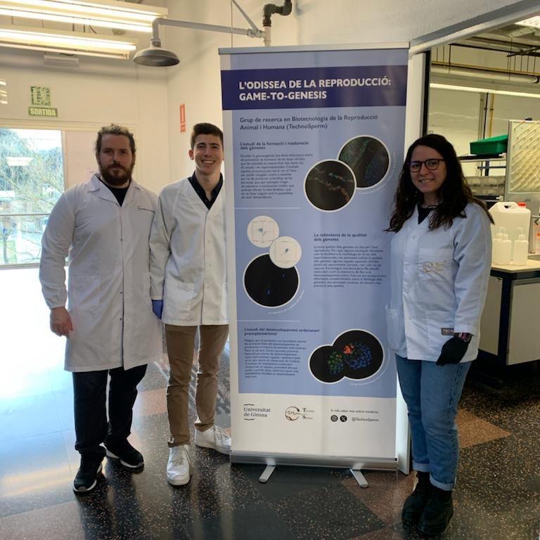 TechnoSperm - UdG tweet media