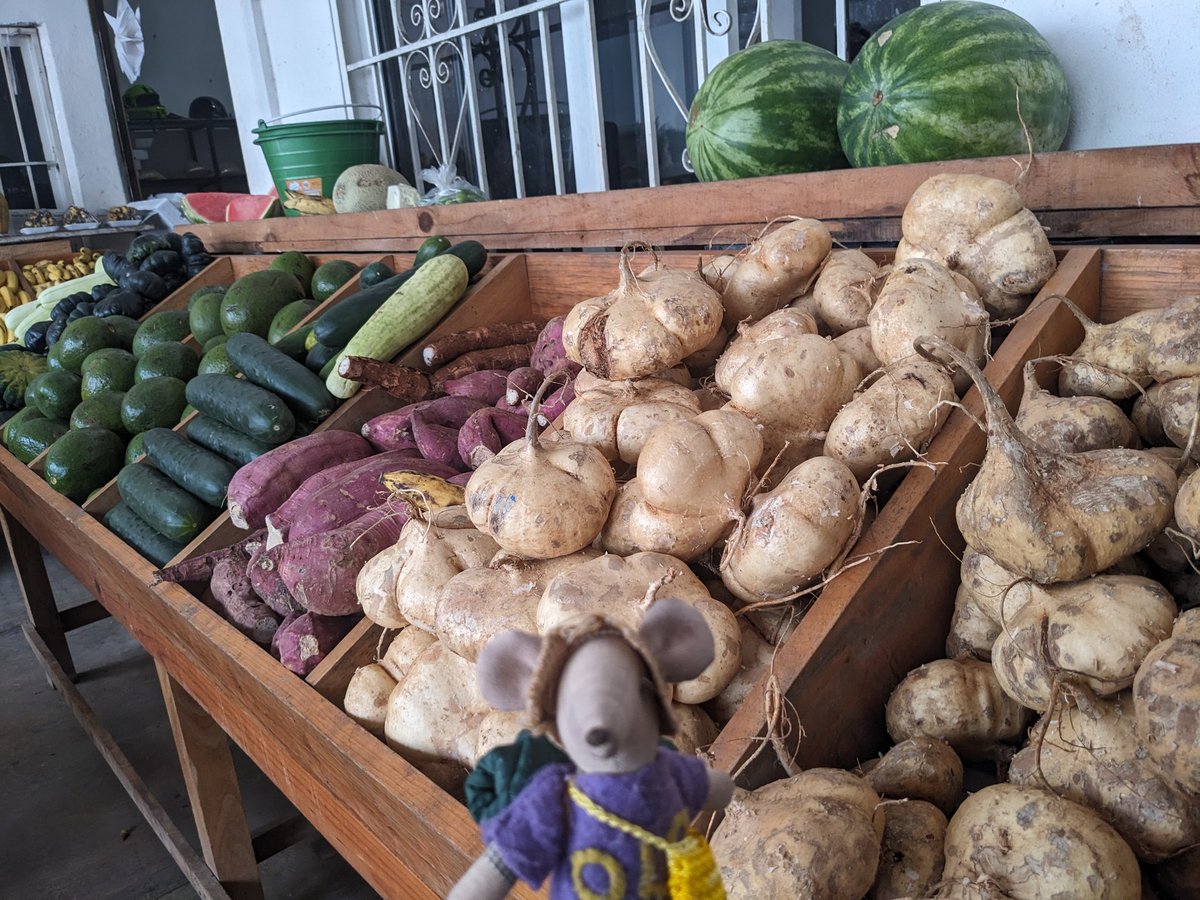 TheDLDMouse's tweet photo. A little shopping trip to the local market here in Mexico 🇲🇽! It really helps when the stall owners speak slower and use gestures because I'm still learning Spanish. This is also useful for people with DLD to give them time to process what is said and respond 💜💛 #devlandis https://t.co/mJZr8YX0C8