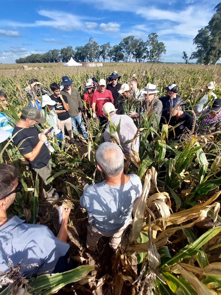 Roberto De Rossi tweet media