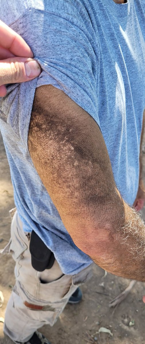 Roberto De Rossi tweet media