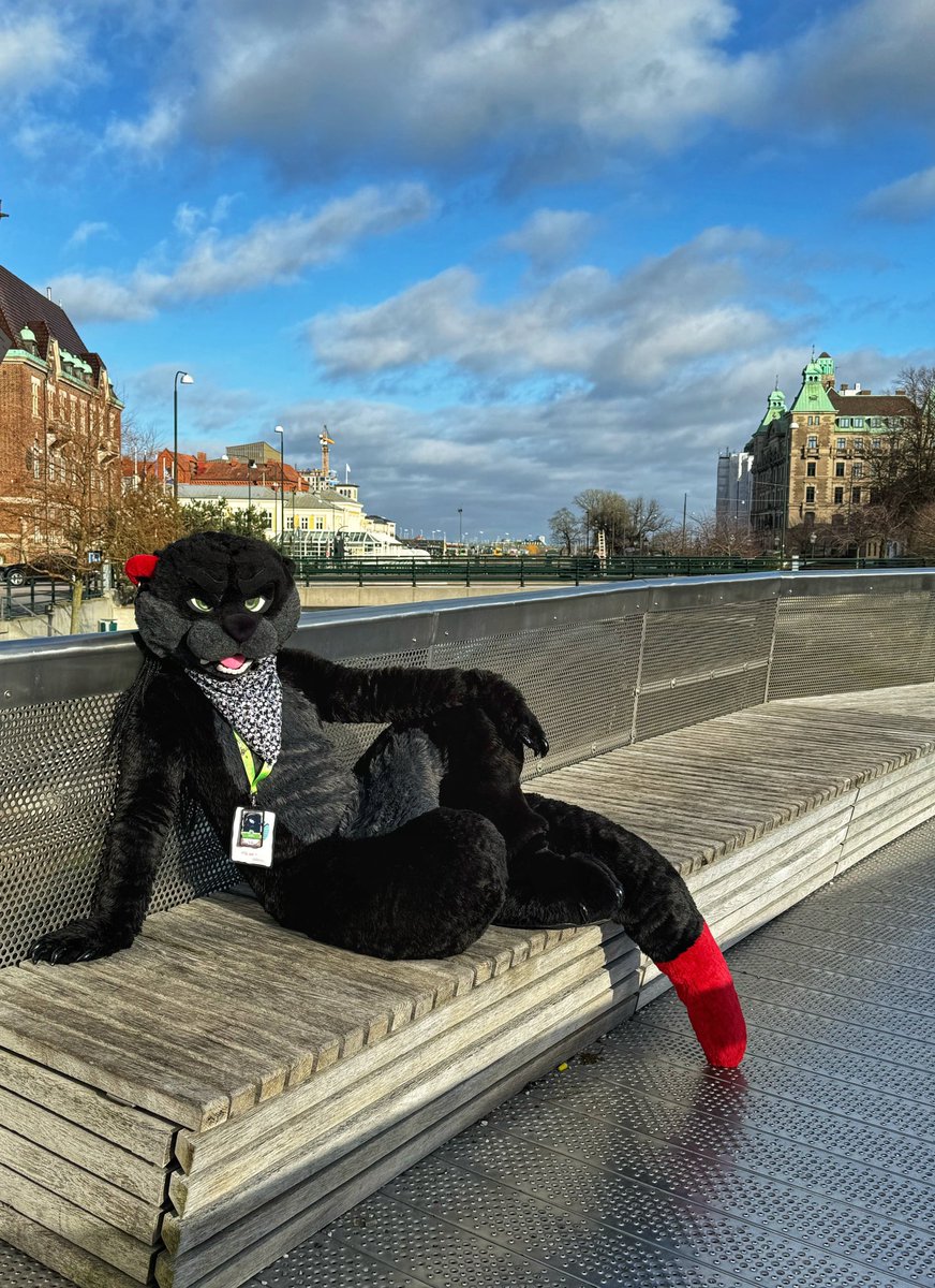 Wild otter in Sweden! It’s Faolan, but don’t know his X-Tag! 😆