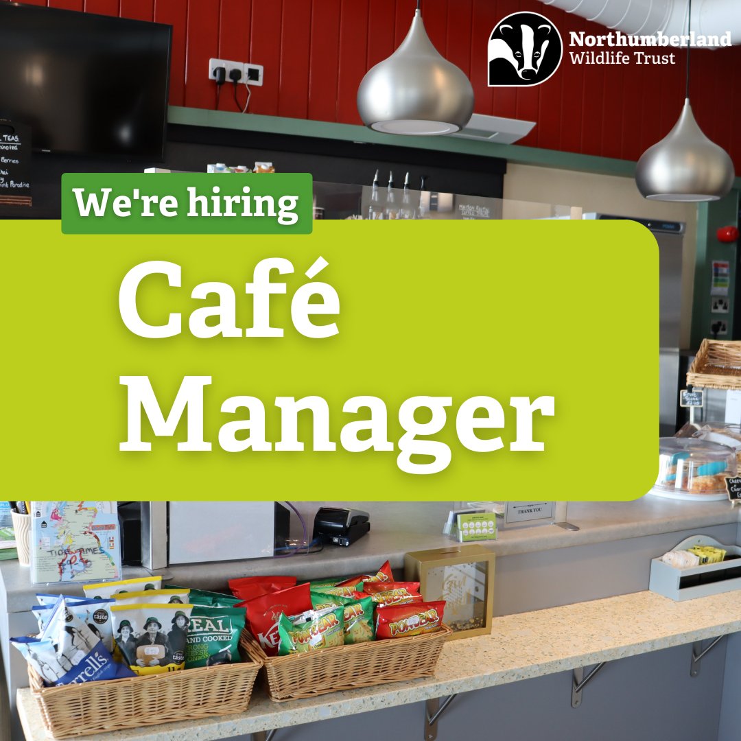 We are looking to appoint a confident, experienced, innovative and enthusiastic person to join our team as Café Manager! Deadline for applications is Monday 4 March 2024. To find out more, go to nwt.org.uk/jobs/cafe-mana…