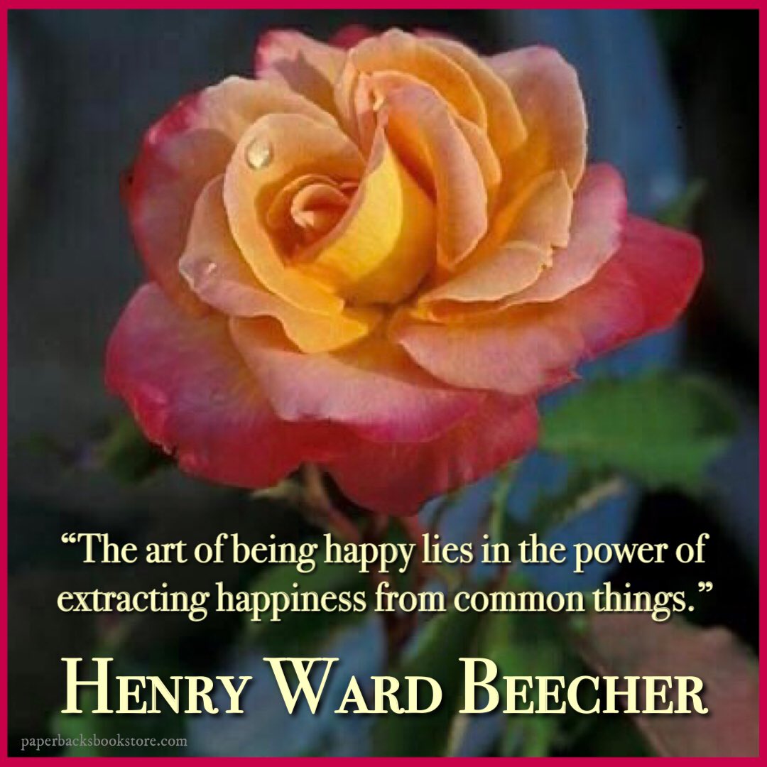 🌹
“The art of being happy lies in the power of extracting happiness from common things.” ~Henry Ward Beecher

#artofbeinghappy #happiness #beinghappy #artofhappiness #commonthings #simplethings #HenryWardBeecher #singlerose #roses #beautifulrose #cutflower #literature #books