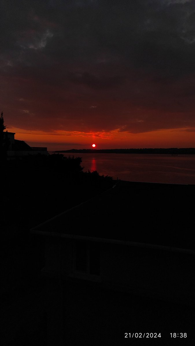 uzaylibirdeli35's tweet photo. #günbatımı #günbatımı🌅 #günbatimi #günbatarken #deniz #manzara #manzara #manzaram #martı #sunset #sunsets #sunsetlovers #sunsetphotography #sea #seagulls https://t.co/TqientmA29