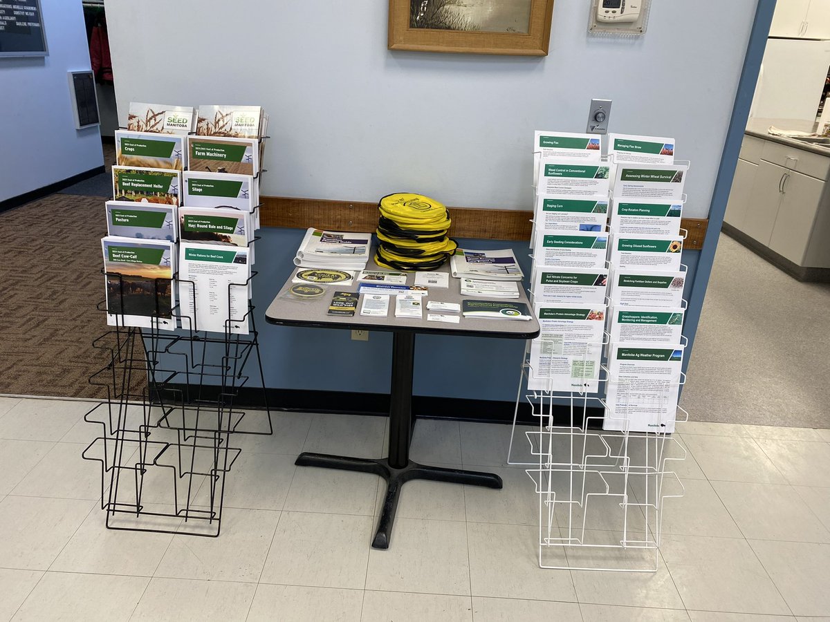 Callum Morrison tweet media