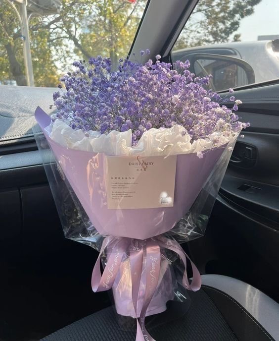 i3Moment's tweet photo. Purple https://t.co/cVl49KoqgZ