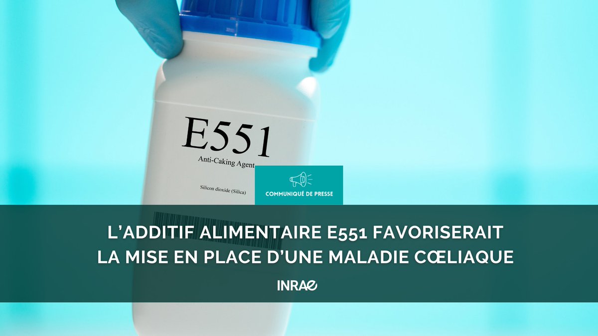 INRAE_France's tweet image. #RP_INRAE Le dioxyde de silice (E551) est un additif antiagglomérant des aliments secs ou en poudre, constitué de nanoparticules.

  🧪Des travaux pionniers montrent qu'il favoriserait notamment la mise en place d’une maladie cœliaque
 
 👨‍🔬Une première étape dans l’étude du