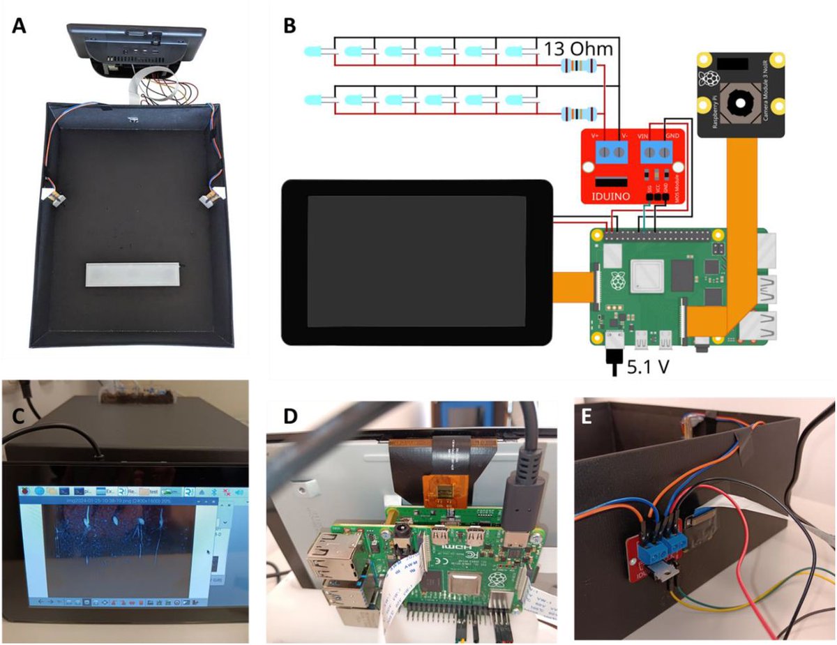 MWNautilus's tweet photo. #DDrC: Dynamic Dark Root Chamber - Non-invasive #OpenSource #phenotyping of #roots kept in #darkness using #infrared #imaging at 880 nm:
-employs #RasberryPi/#PiCam ecosystem
-affordable (<200 €)
https://t.co/BNDh9Eu5Qc
#DIYbio #lab #instruments #IR #plants #horticulture https://t.co/W0pperfqNh