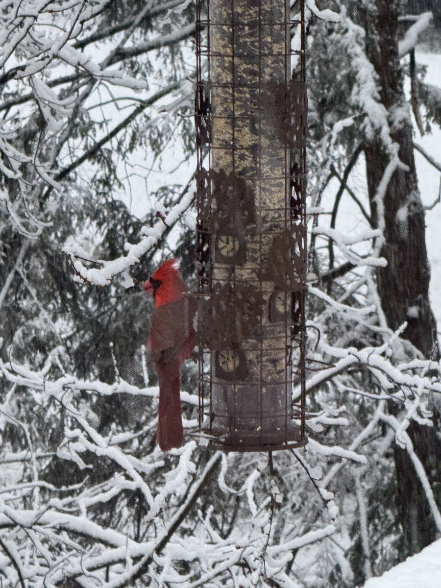 Robert Duffield tweet media