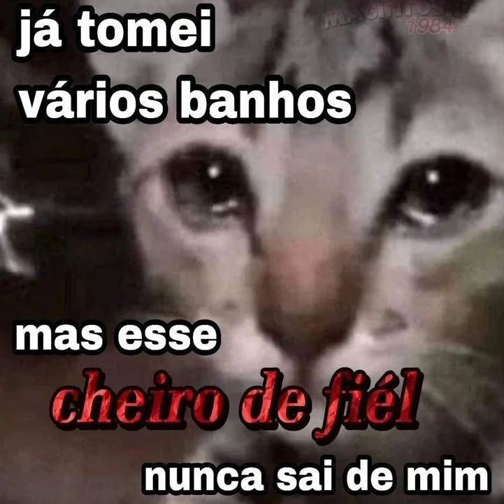 odeiootaco's tweet image. 