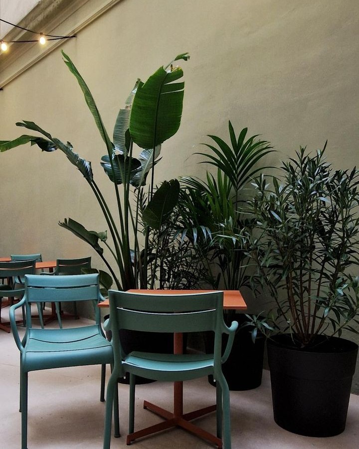 Faborit's tweet image. ¡Barcelona! Prepárate porque estrenamos nuevo Faborit en C/ Còrsega 323 🥳
Ya puedes disfrutar del nuevo local: un espacio acogedor pensado para que te sientas como en casa, un menú con el que disfrutar con cada bocado y todo el buen ambiente que nos define. 
¡Te esperamos! 💖