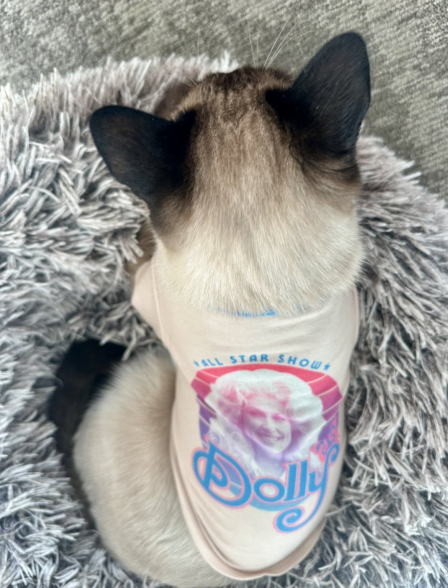 Working 9-5 in his coat of many colors 🩷 <a href="/DollyParton/">Dolly Parton</a>