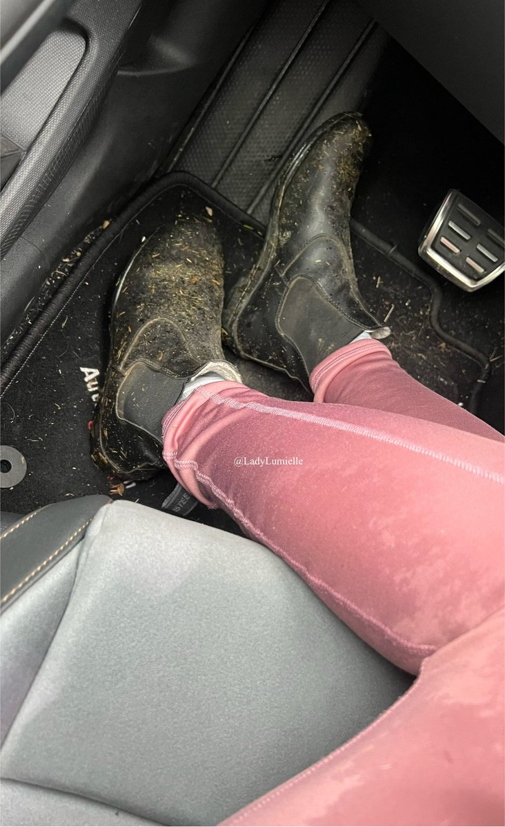 Meine Reitstiefeletten wurden ersteigert und nicht bezahlt! Ich bin sauer! Irgendein Stallknecht macht das jetzt sofort wieder gut! 
Es darf erneut geboten werden ab 100€!