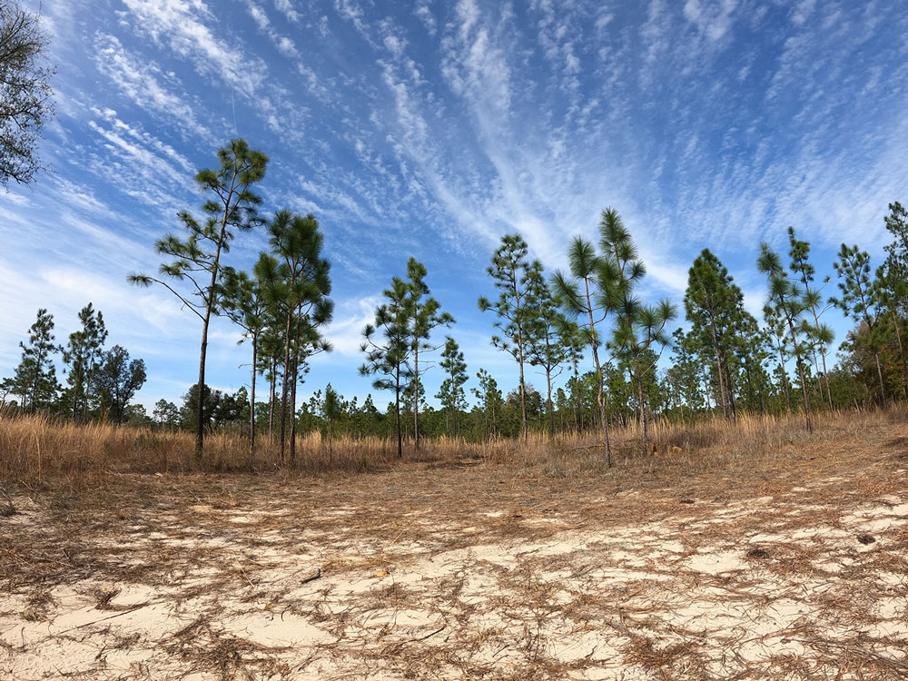 WFSU Ecology Blog tweet media