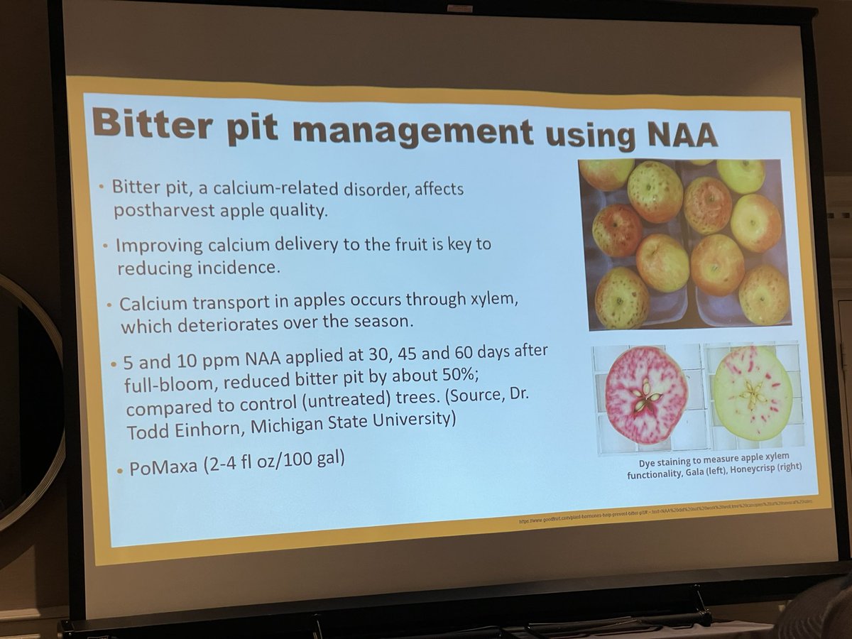 Value added NAA application to Honeycrisp? I’m not betting on it, but🤔