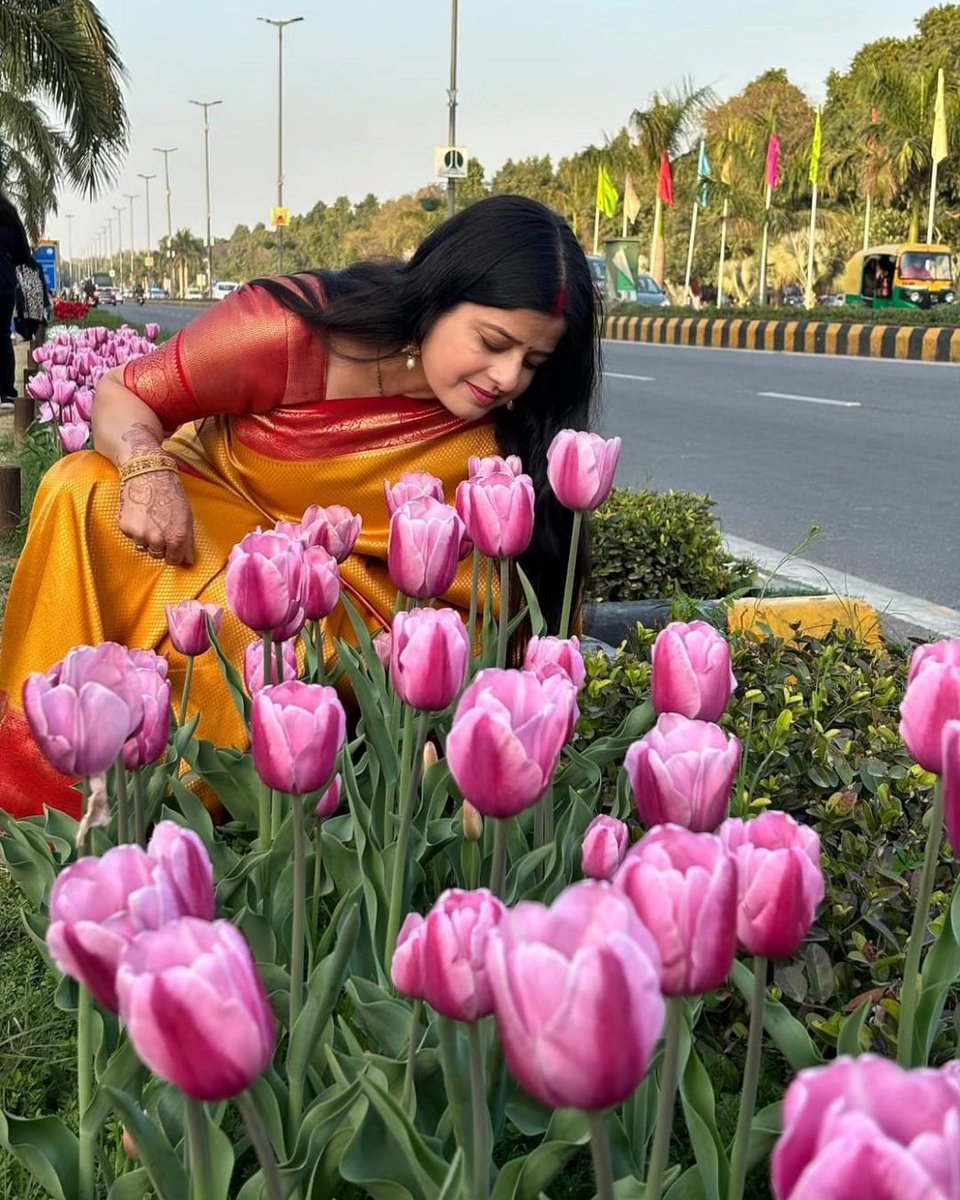 #ndmctulipfestival 
#ndmc