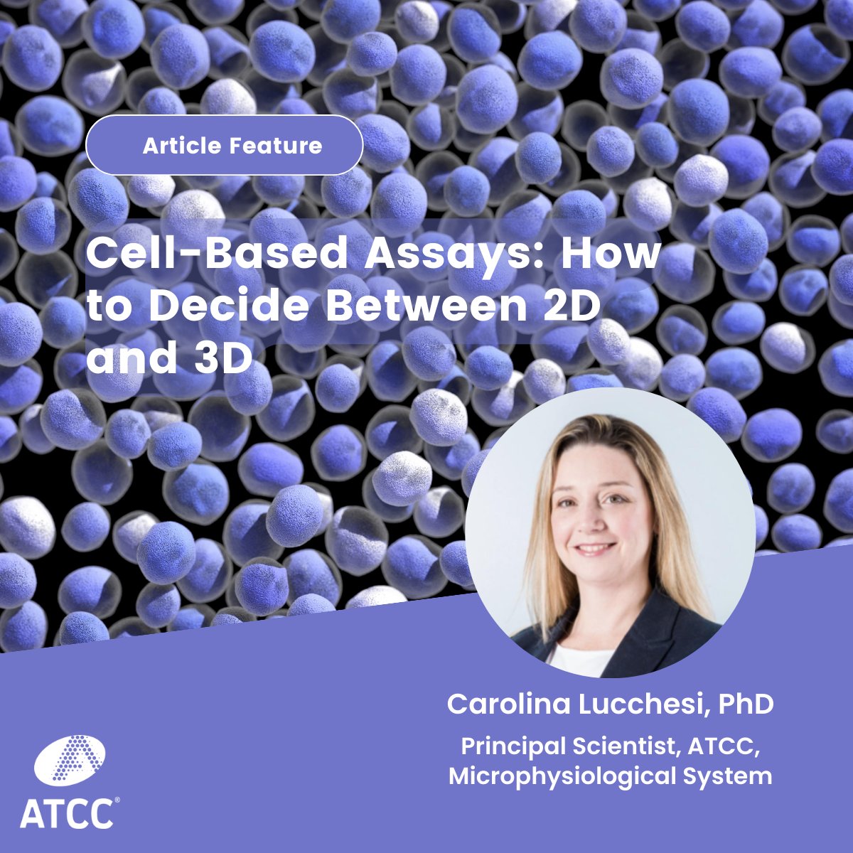 officialatcc's tweet photo. ATCC’s Carolina Lucchesi, Ph.D., BioNexus Foundation Principal Scientist spoke with @Biocompare to talk about the pros and cons of 3D cell cultures and share guidance for when to use them.
#ATCC #CellCulture #microphysiologicalsystems #MPS
Read more: https://t.co/FT6hYYPOo2 https://t.co/kAMDi4A6YF