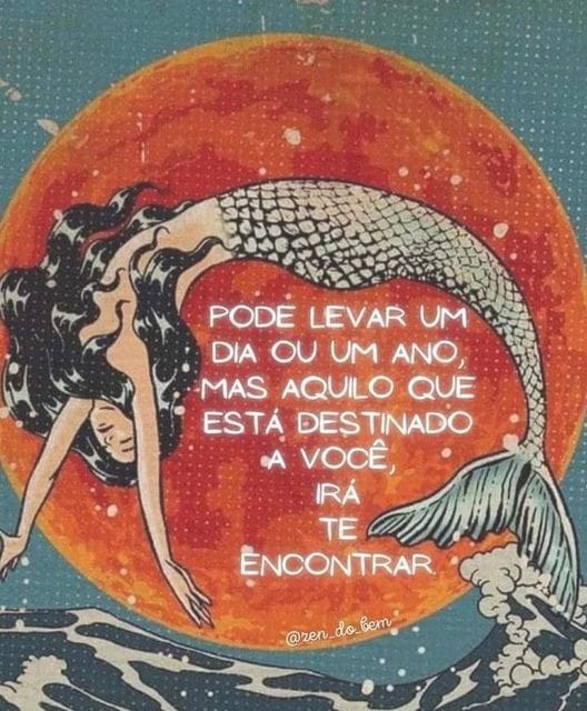 universoativo's tweet photo. Créditos: @ren_do_bem https://t.co/6x4zWQEUZo