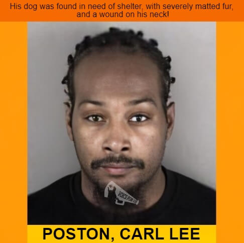 - North Carolina, USA -
CARL LEE POSTON arrested – His dog was found in need of shelter, with matted fur and a wounded neck
voiceforus.com/post/carl-lee-…

#VoiceForUs #AnimalCruelty #AllLivesMatter #NorthCarolina #GastonCounty #poodles #dogs #crueldadanimal #judges #deathpenalty