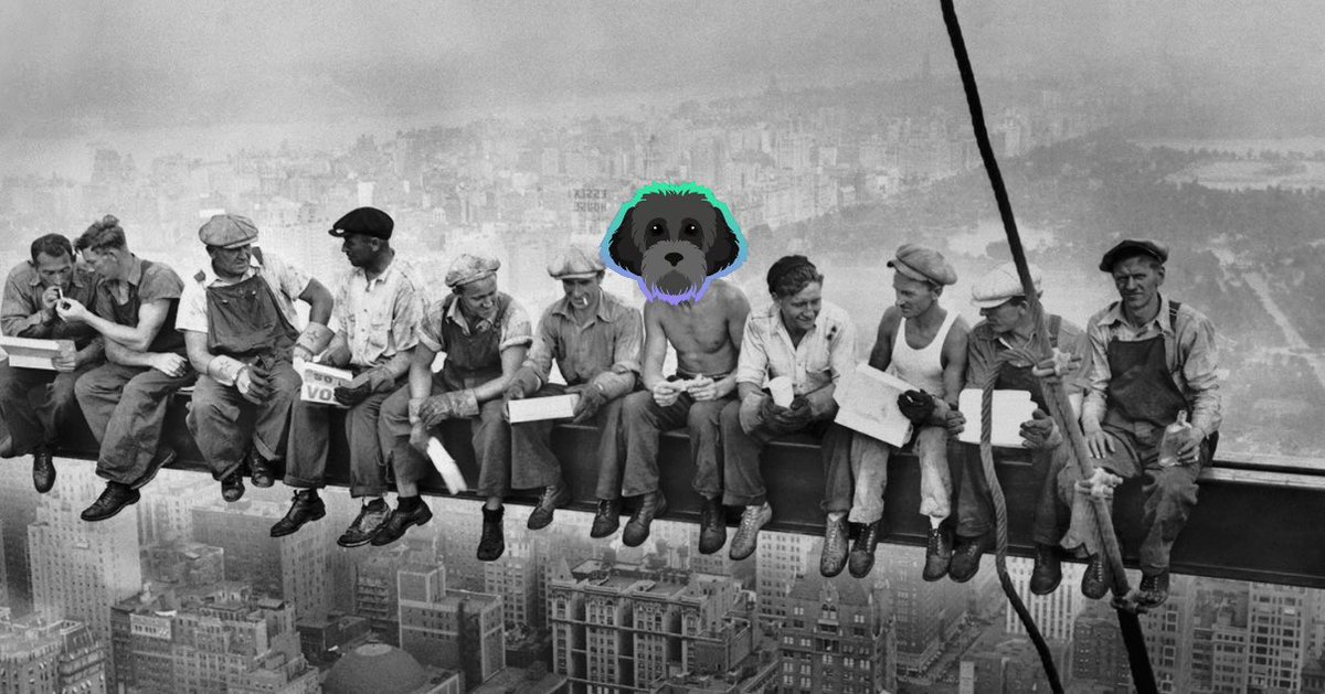 DeFiCalls's tweet photo. One thing i’ve learned is that the $MYRO community is one of the strongest ones in the Space. Without a doubt. We stand with our cute handsome boy. https://t.co/tDbM5Et9zZ