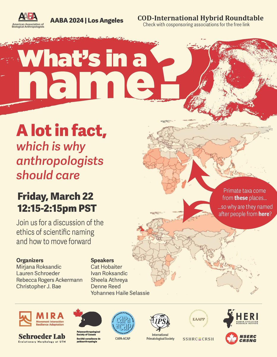 Roundtable on species naming in anthropology Friday, March 22nd 12:15pm at the AABA Los Angeles. Zoom link for CABA-ACAB; PASC-SCPA; EAAPP; HERI; and IPS will be shared. Sponsorship by #PASC; #CABA; #MIRALab; #SchroederLab, #NSERC and #SSHRC!