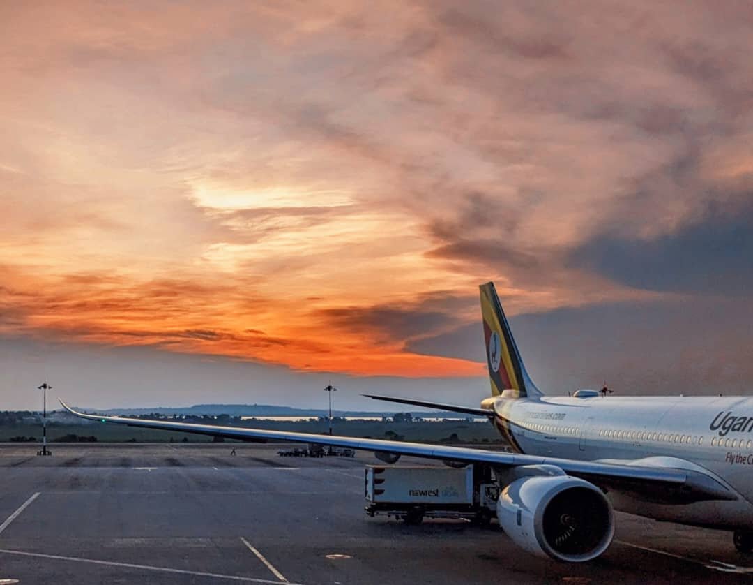 Catriona Waitt tweet media