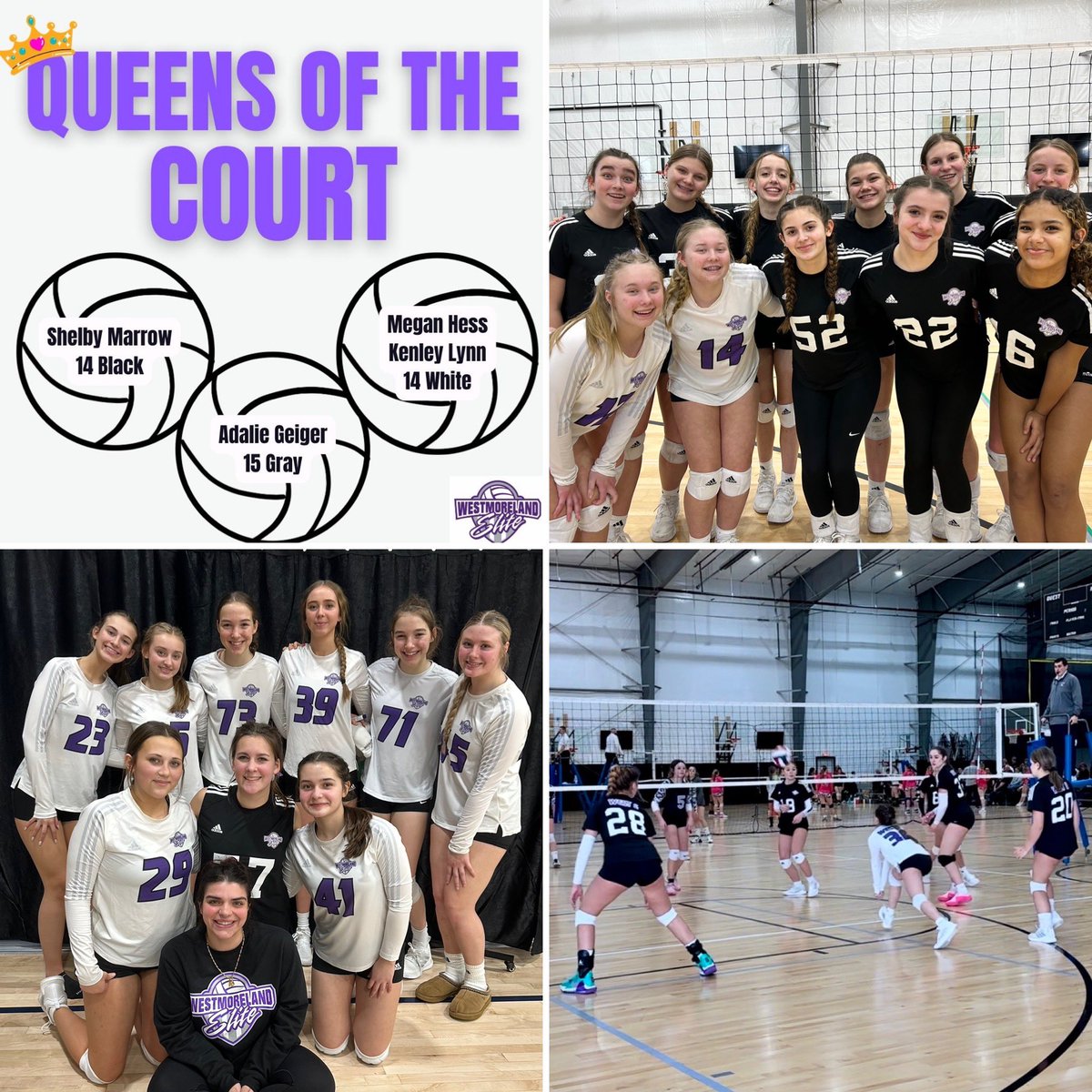 WEEK 5 RESULTS &amp; 👑 QUEENS OF THE COURT 👑  14 Black - 2nd in Gold, 14 White - 5th in Gold, 15 Gray - 8th in Gold