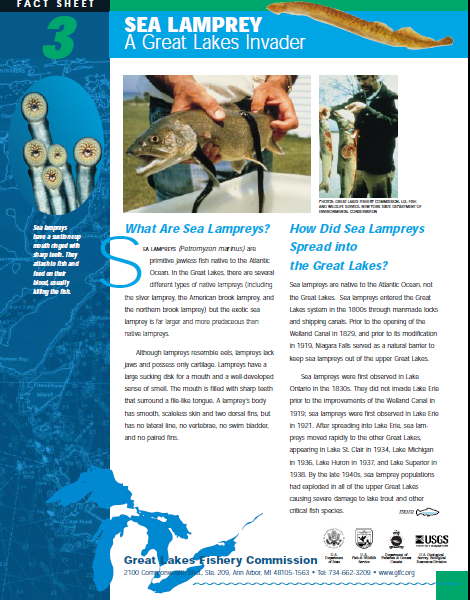 ChapterOhio's tweet photo. Sea lampreys have been a threat to native Great Lakes fisheries for decades. Here's a fact sheet for anyone intereseted in learning more about them. https://t.co/alpBGHBTib