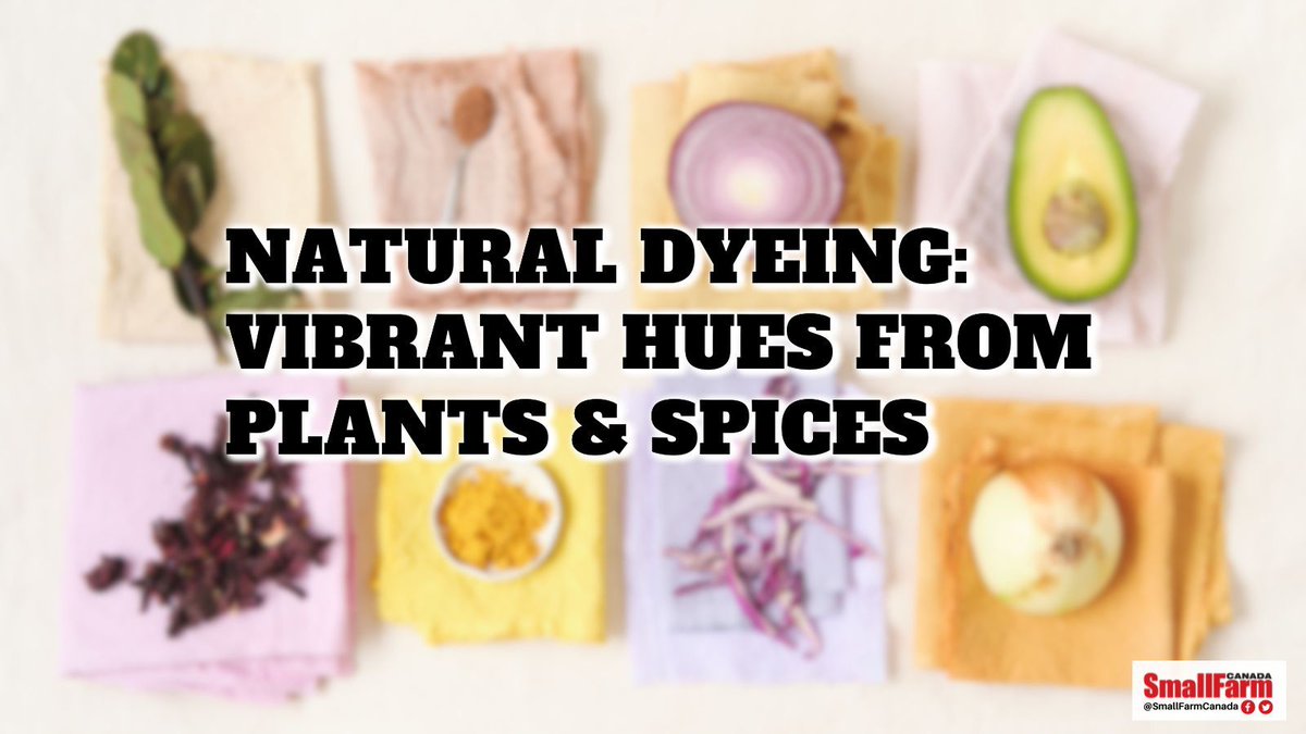 SmallFarmCanada's tweet image. Discover the art of #NaturalDyeing &amp;amp; create eco-friendly colours with everyday ingredients!

Learn how to make vibrant #dyes from plants &amp;amp; spices while reducing environmental impact.

Dive into our simple guide here 👇

smallfarmcanada.ca/news/natural-d…

#CdnAg #Dye #EcoFriendly #SmallFarm