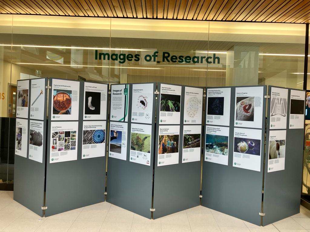 Just a few days left to view our Images of Research exhibitions in person at Streatham- in the Forum, Streatham Campus, ends 26 March   #IoR2023 #LovePostdocs @UniofExeter @TOSheaWheller @ExeterDoctoral
rb.gy/0gc1tt