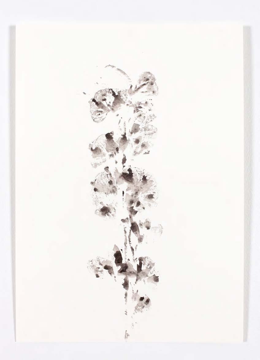 gregcorbeau's tweet photo. Birgir Snabjörn Birgisson
From the series, Fake Flowers, 2023
Water soluble charcoal on paper
35,5 x 25,5 cm
VALUE VALUE VALUE
https://t.co/AkBok57XrE
#BirgirBirgisson #ShaneBradford #JimCheatle #PeterLamb #GustavMetzger #TahminaNegmat #AidanOSullivan #Playpaint #KateSteciw https://t.co/ZQcSeH2b9j