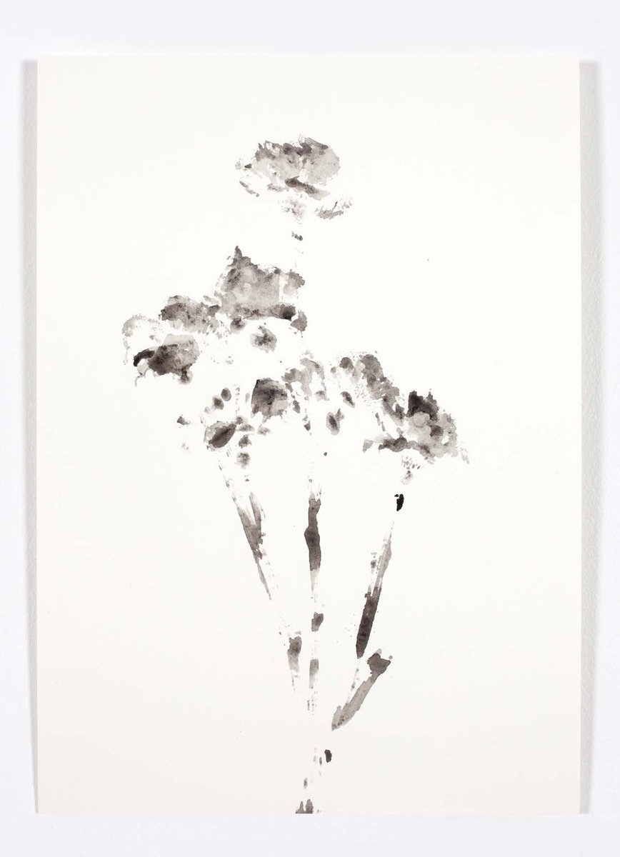 gregcorbeau's tweet photo. Birgir Snabjörn Birgisson
From the series, Fake Flowers, 2023
Water soluble charcoal on paper
35,5 x 25,5 cm
VALUE VALUE VALUE
https://t.co/AkBok57XrE
#BirgirBirgisson #ShaneBradford #JimCheatle #PeterLamb #GustavMetzger #TahminaNegmat #AidanOSullivan #Playpaint #KateSteciw https://t.co/ZQcSeH2b9j