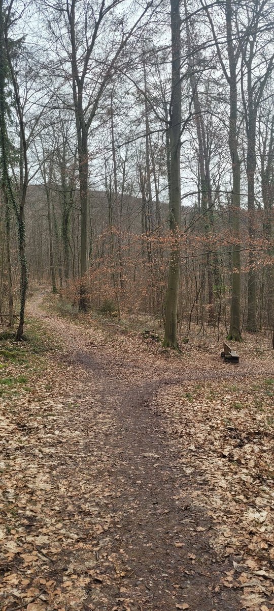 The @embl campus in Heidelberg definitely allows for a nice walk during lunch breaks #EMBOCardioBiology