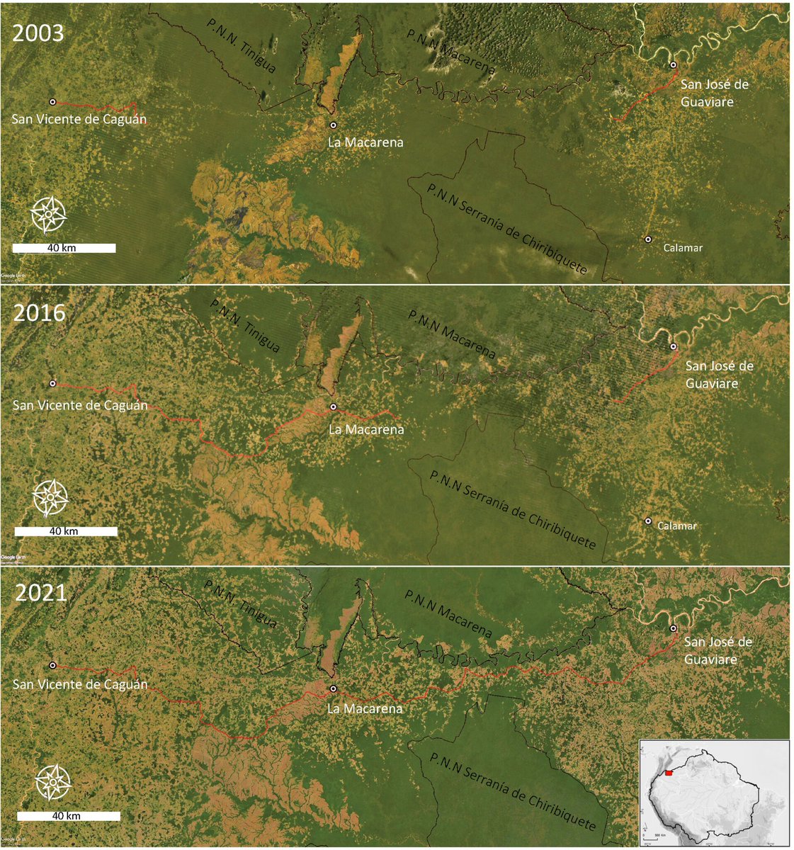 ForestPlots (@forestplots) on Twitter photo The biggest threat to tropical forests is not climate change. It is cutting them down.
This <a href="/MongabayLatam/">Mongabay Latam</a> analysis by Tim Killeen tells us why we are losing the last connections between the Amazon and the Andes. The biggest threat to tropical forests is not climate change. It is cutting them down.
This <a href="/MongabayLatam/">Mongabay Latam</a> analysis by Tim Killeen tells us why we are losing the last connections between the Amazon and the Andes.