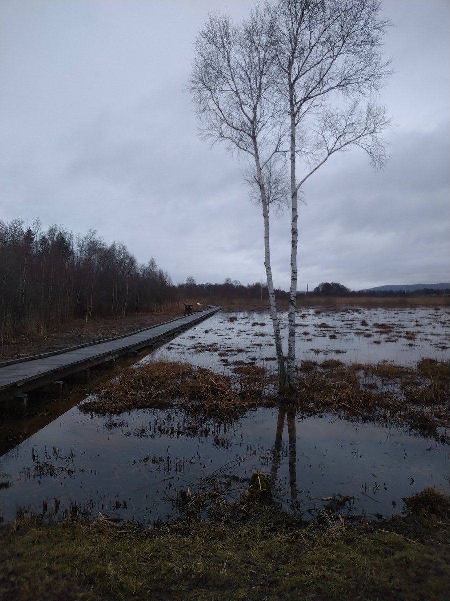 Centralt i Jönköping finns Rocksjöns naturreservat. Rikt växt-och djurliv nära industområde, E4an, stormarknad och hus. Som en bild av gudstjänstens mångfald av vila & umgänge med Skaparen mitt i veckans aktiviteter.