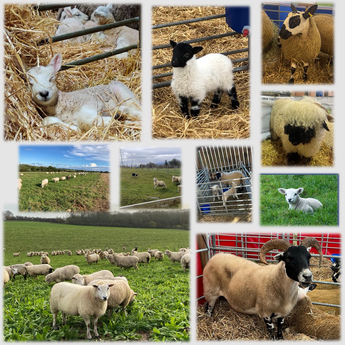 Field Farm Tours Ltd tweet media