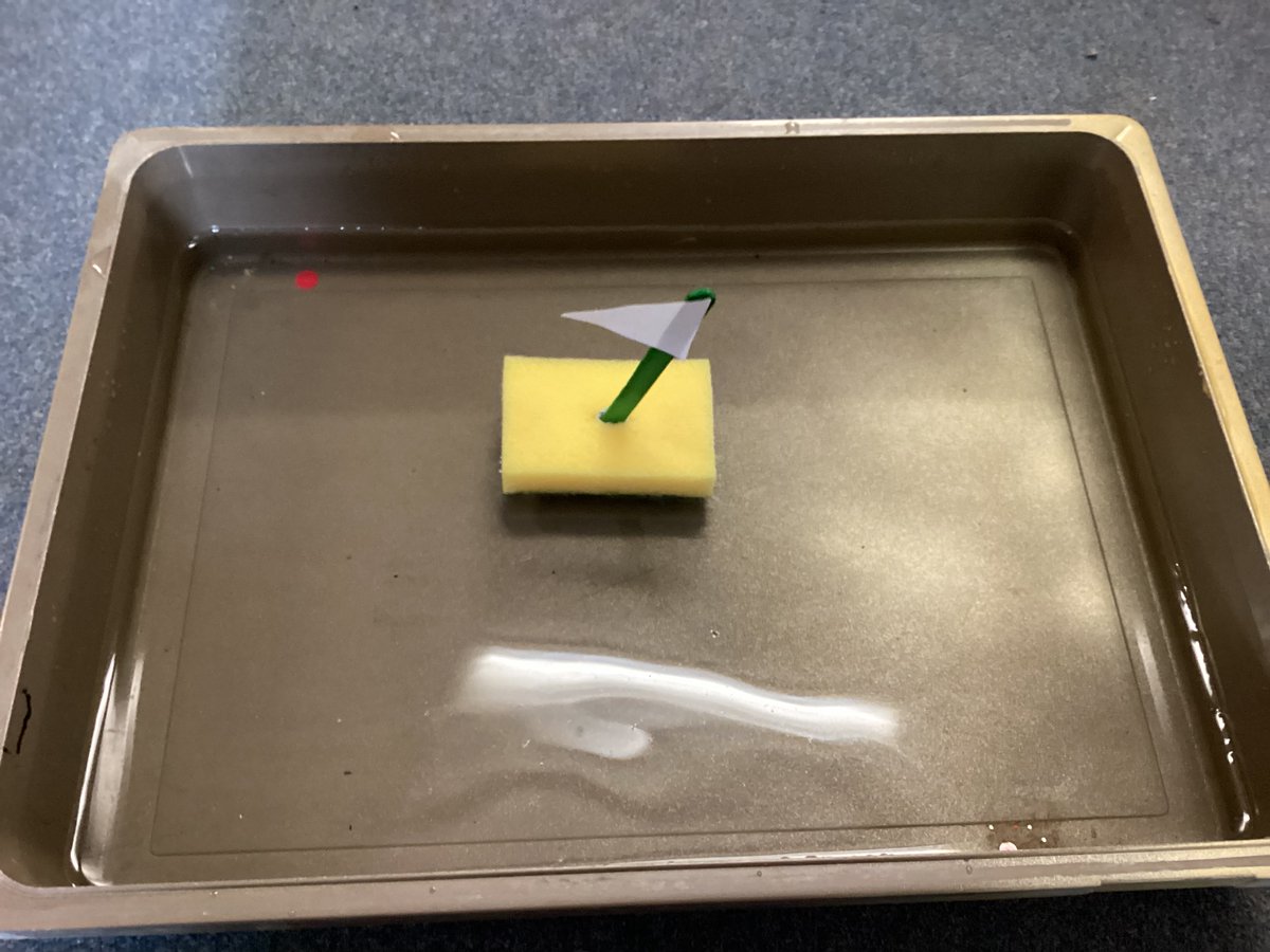 SBPS_squirrels's tweet photo. In our Science learning, we put our knowledge of materials to the test to see which would be best to make a boat that floats. We found that plastic was the best material for our boat. #sbpsSci https://t.co/PuNNKwUEsk