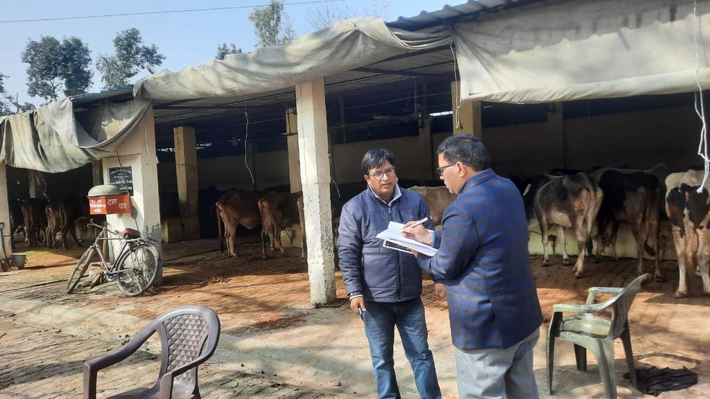 deepak_sdm's tweet photo. Kalsiya गोशाला का निरीक्षण  किया एवं गायों को हरा चारा खिलाया https://t.co/q7FoOHGv4Q